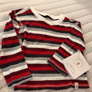 0-3 months boys Burt's Bees Baby Red, Gray & White Striped Long-Sleeve Tee